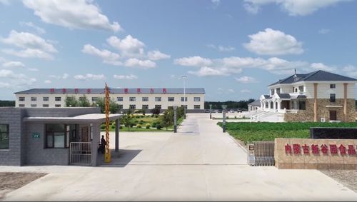 北京交通大學(xué) 智繪農(nóng)品 實(shí)踐團(tuán)探訪內(nèi)蒙古新谷園食品公司,共謀鄉(xiāng)村振興新篇章