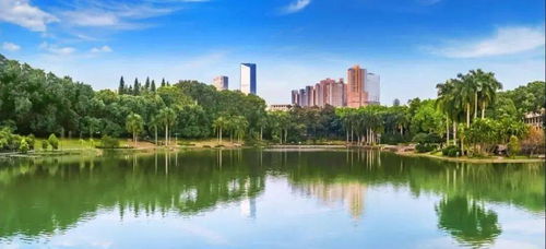 中國(guó)最美 海邊 大學(xué),你pick哪一所