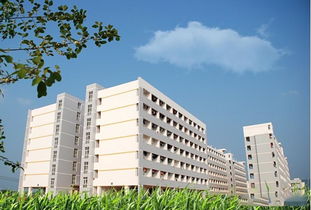 高校裝 共享空調(diào) ,用一小時(shí)5元,網(wǎng)友 太黑了,一度電才6毛 宿舍