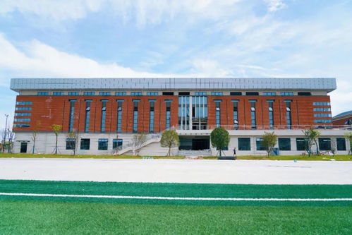 教育格局再優化 多校整合與轉型助推區域教育發展