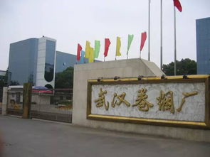 被遺忘的航標 武漢航海學院的沉浮與武昌區的命運交織